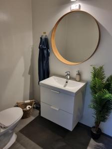 Un baño con lavabo, espejo e inodoro. en Mini-lejlighed med køkken - Deler bad og toilet med nabolejlighed 4, en Asperup