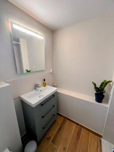 Marseille chateau gombert duplex studio au pied des collines في مارسيليا: حمام مزود بحوض ومِرآة