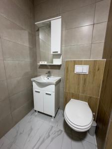 ブルチコにあるApartment Campusのトイレと洗面台付きのバスルーム