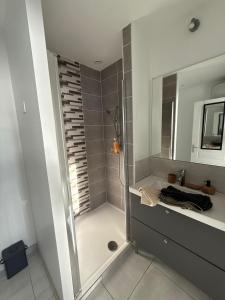 Saint-Orens-de-GamevilleにあるAppartement climatisé Saint Orens N8のシャワーと洗面台付きのバスルーム +7枚の写真