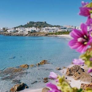 a view of a beach with purple flowers at Fort View Apartment in Kelibia