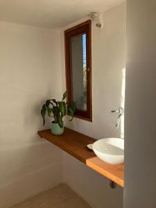 La salle de bains est pourvue d'un lavabo, d'un miroir et d'une plante. dans l'établissement Casa de Las Brujas Traslasierra, à Los Molles