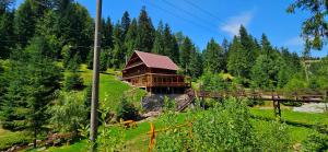 a log cabin in the middle of a forest at Cabana Cota 1000 Arieseni in Arieşeni