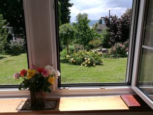 Κήπος έξω από το bnb Schwyzerhüsli