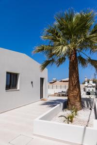 una palmera frente a una casa blanca en Infinity Palm Villa, en Stavros