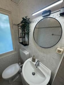 SeddinにあるBungalowdorf Seddiner See - Bungalow 9の洗面台、トイレ、鏡のあるバスルーム