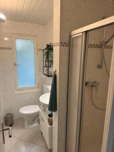 SeddinにあるBungalowdorf Seddiner See - Bungalow 9のシャワー、トイレ、洗面台を備えたバスルーム