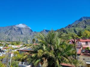 a palm tree in front of a mountain at COSY Montagne in Cilaos