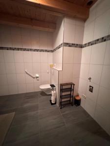 a bathroom with a toilet and a chair in it at Ferienwohnung in idyllischer Natur für bis zu 4 Personen in der Gemeinde Rutzenham - Bergern in Altensam
