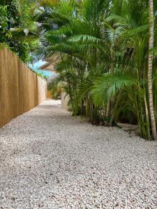 a gravel pathway with palm trees and a fence at Kas Kalki Apartment in Willemstad