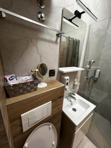 a bathroom with a sink and a toilet and a mirror at Crystal Everest Apartments in Vrdnik