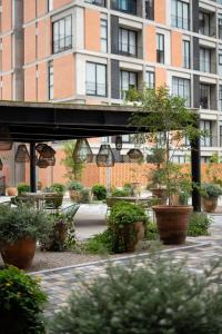 une cour avec des plantes en pot devant un bâtiment dans l'établissement Suite con Cama King y Queen, Wi-Fi Rápido y Amenidades Top, à Guadalajara 47 autres photos