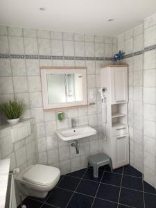 a bathroom with a toilet and a sink at Ferienhaus Eckernfeld Bremerhaven in Bremerhaven