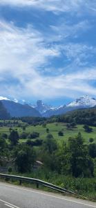 a view of a green field with snow capped mountains at Ribeles Luxury Flat in Arenas de Cabrales