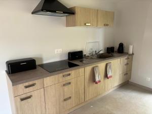 a kitchen with wooden cabinets and a sink at Très joli logement in Anould