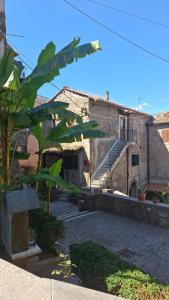 a view of a building with a bunch of plants at SoLe Apartment in Campagnano di Roma