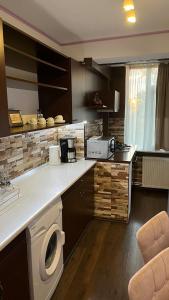 a kitchen with a washer and dryer on a counter at Apartament Horatio in Galaţi +39 photos