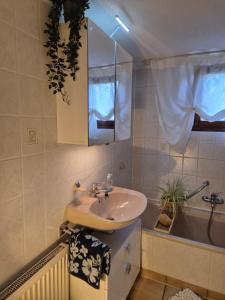 a bathroom with a sink and a tub at Ferienwohnung Waldnest in Elmstein +24 photos
