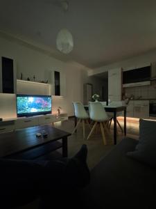 TV a/nebo společenská místnost v ubytování AlteStaatsbank - wohnen inklusive Fitness & Wellness