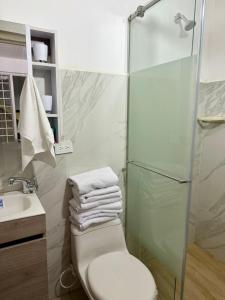 un bagno con doccia, WC e lavandino di Casa central con parqueadero ad Armenia