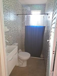 a bathroom with a toilet and a shower curtain at KIT Rayar in Alto Paraíso de Goiás