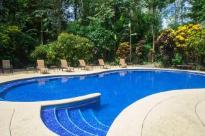 ein großer blauer Swimmingpool mit Stühlen und Bäumen in der Unterkunft Selva Verde Lodge in Sarapiquí