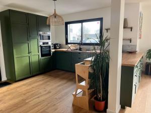 a kitchen with green cabinets and a potted plant at Maison 3 chambres in Changé +2 photos
