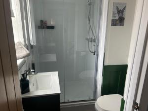 a bathroom with a shower and a sink and a toilet at The Bungalow in Lichfield
