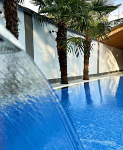 a swimming pool with palm trees in a building at Qafqaz Palm A-Frame Retreat in Gabala