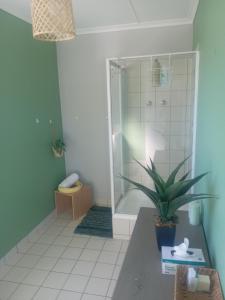 uma casa de banho com um chuveiro e um vaso de plantas em Oasis em Glencairn