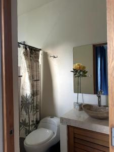 a bathroom with a toilet and a sink at Terraza Carrizalillo in Puerto Escondido