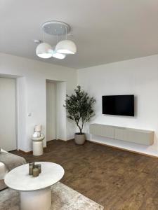 リンツにあるLivvalu Apartmentsのテーブルとテレビのあるリビングルーム