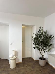リンツにあるLivvalu Apartmentsの鉢植えの木とトイレのある白い部屋
