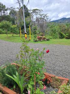 a garden with a plant and flowers on a gravel road at jardin de flores Ant habitación 101 JW in Jardin