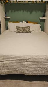 1 cama grande con almohadas blancas y pared verde en Cocoon Tropical, en Saint Martin