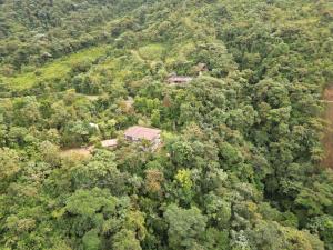 an aerial view of a house in the middle of a forest at Mashpi Amagusa Lodge in Mashpi