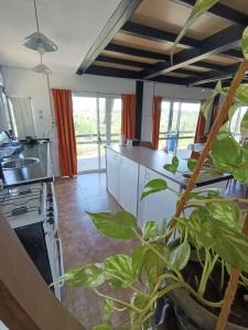 a kitchen with a large plant in the foreground at Casa Hebe - En las sierras de Córdoba - cuenta con tres habitaciones y capacidad para 8 personas, tranquila con increibles vistas in Villa Parque Siquiman