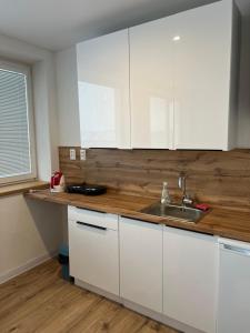 Kuchyň nebo kuchyňský kout v ubytování Work&rest apartment