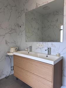 阿尔泽特河畔埃施Auberge Gourmande的配有大镜子和水槽的浴室