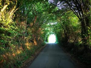 6 person holiday home in Hejls في Hejls: طريق طويل وبه اشجار من الجهتين +16 صورة