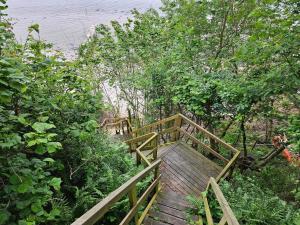 6 person holiday home in Hejls في Hejls: ممشى خشبي يؤدي إلى جسر به أشجار