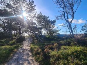 a dirt road in a field with the sun shining at 6 person holiday home in Rømø in Bolilmark