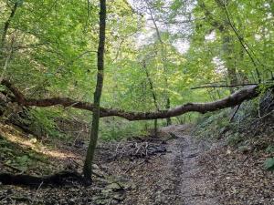 Ảnh trong thư viện ảnh của 10 person holiday home in Brovst ở Brovst