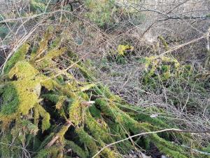 Ảnh trong thư viện ảnh của 10 person holiday home in Brovst ở Brovst +33 ảnh