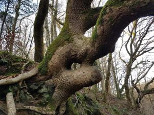 Ảnh trong thư viện ảnh của 10 person holiday home in Brovst ở Brovst