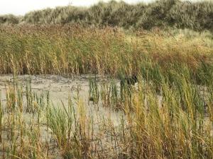 Billede fra billedgalleriet på Seaside Escape in Laeso - By Traum Ferienwohnungen i Læsø