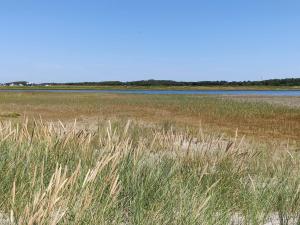 Billede fra billedgalleriet på Seaside Escape in Laeso - By Traum Ferienwohnungen i Læsø + 33 billeder