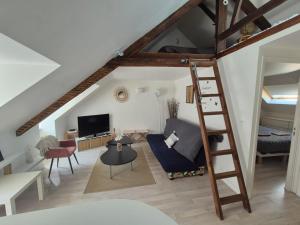 a living room with a loft bed and a ladder at L'Écrin Urbain - Centre St Brieuc in Saint-Brieuc