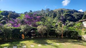 a garden with purple flowers and trees and a building at Quarto Aconchegante Teresópolis Refúgio Cristão in Teresópolis