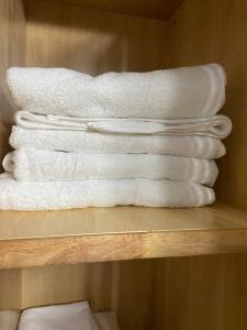 Fotografie z fotogalerie ubytování Abode of Peace Aruba v destinaci Noord + 58 fotografií